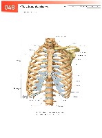 Sobotta  Atlas of Human Anatomy  Trunk, Viscera,Lower Limb Volume2 2006, page 55